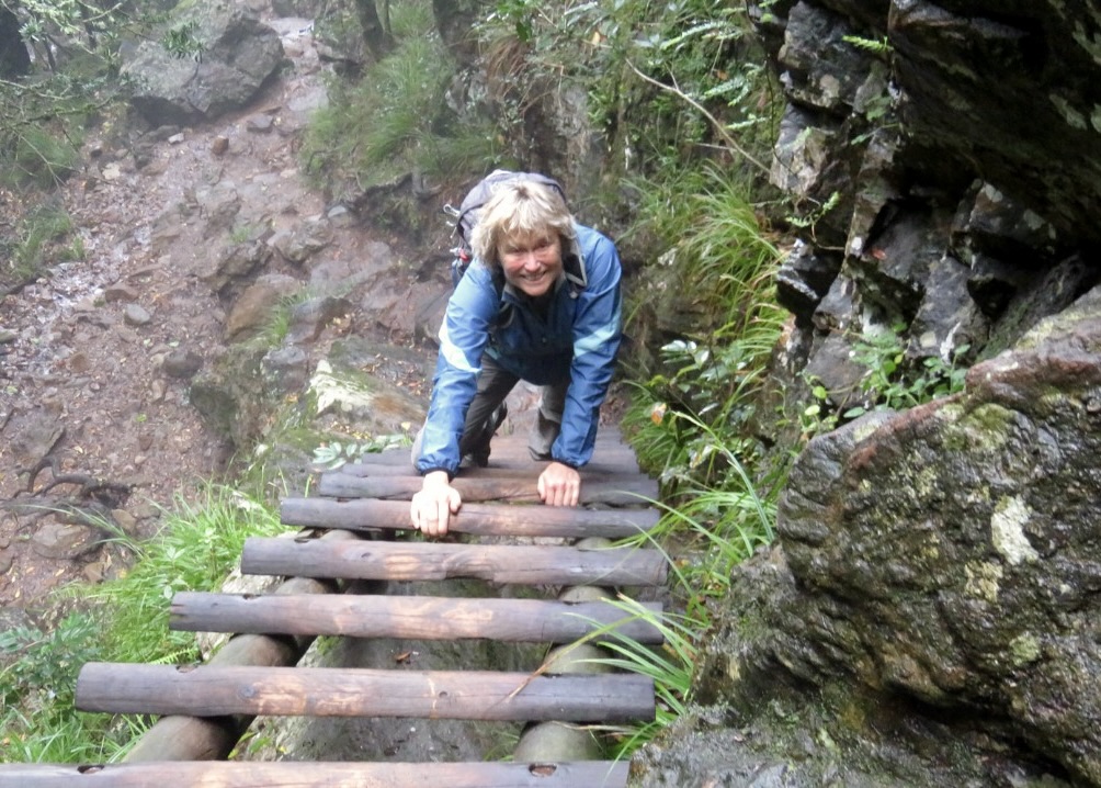 Me climbing wood ladder